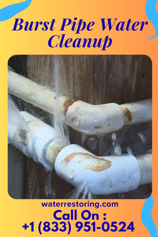 Burst Pipe Water Cleanup in Hookerton, NC