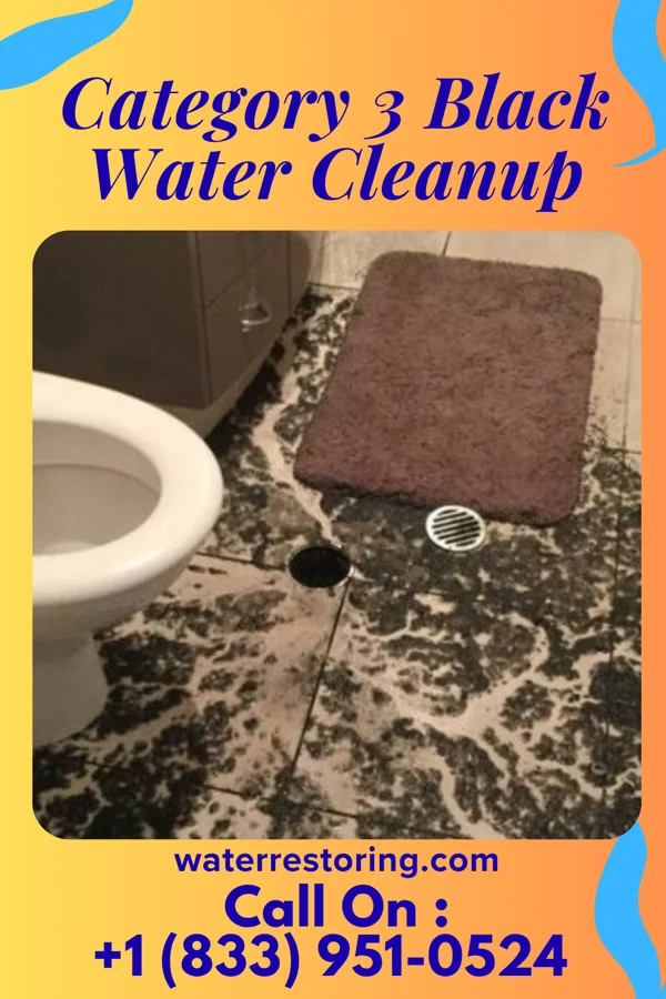 Category 3 Black Water Cleanup in Hookerton, NC