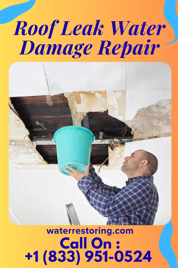 Roof Leak Water Damage Repair in Hookerton, NC