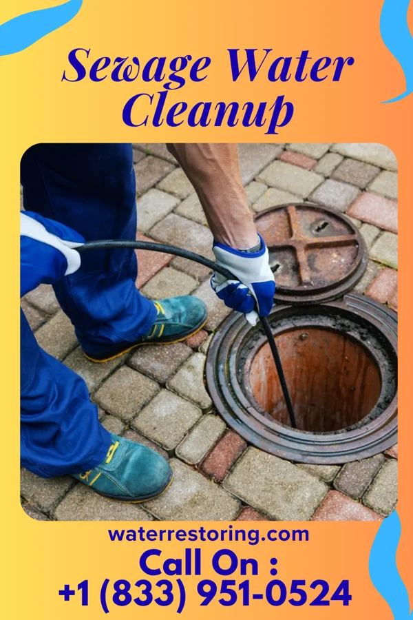 Sewage Water Cleanup in Hookerton, NC